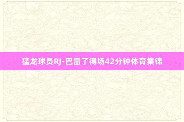 猛龙球员RJ-巴雷了得场42分钟体育集锦
