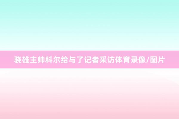 骁雄主帅科尔给与了记者采访体育录像/图片