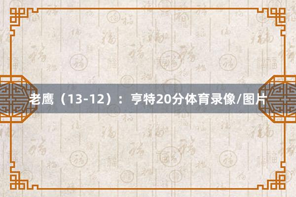 老鹰(13-12):亨特20分体育录像/图片