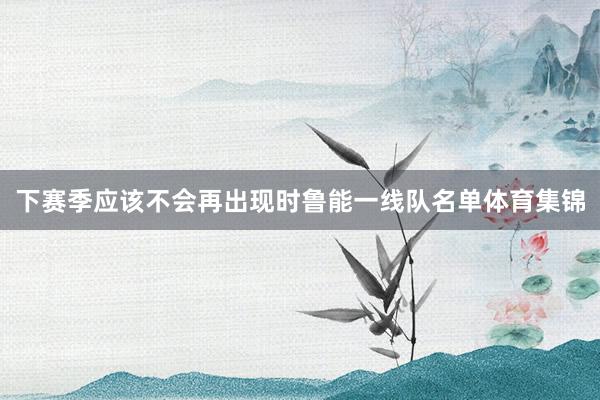 下赛季应该不会再出现时鲁能一线队名单体育集锦