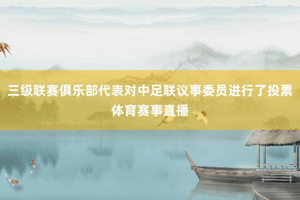 三级联赛俱乐部代表对中足联议事委员进行了投票体育赛事直播