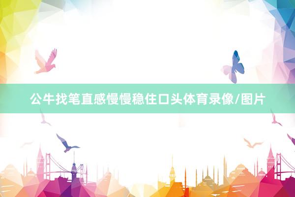 公牛找笔直感慢慢稳住口头体育录像/图片