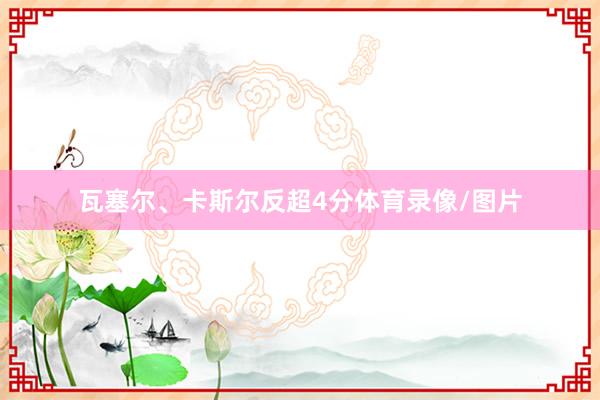 瓦塞尔、卡斯尔反超4分体育录像/图片