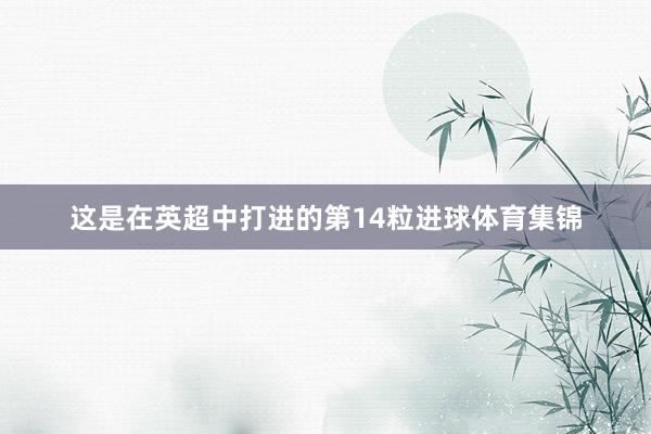 这是在英超中打进的第14粒进球体育集锦