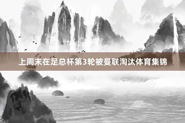 上周末在足总杯第3轮被曼联淘汰体育集锦