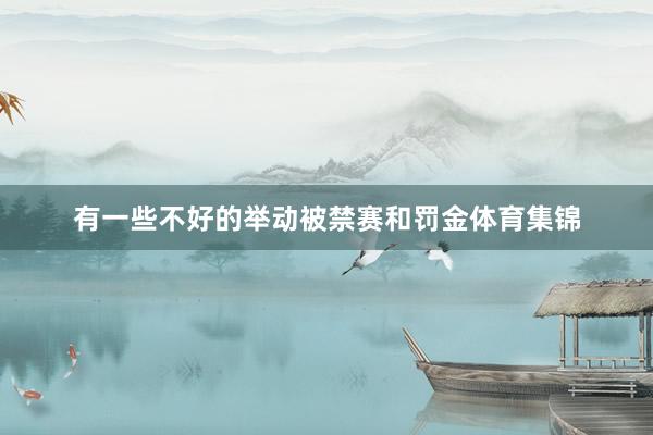有一些不好的举动被禁赛和罚金体育集锦