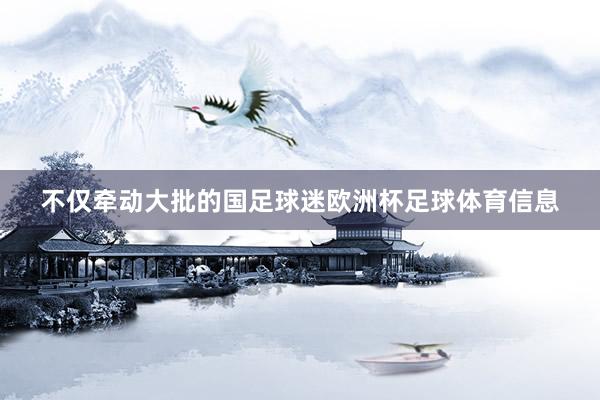 不仅牵动大批的国足球迷欧洲杯足球体育信息