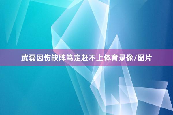 武磊因伤缺阵笃定赶不上体育录像/图片