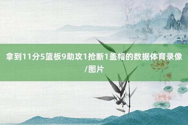 拿到11分5篮板9助攻1抢断1盖帽的数据体育录像/图片