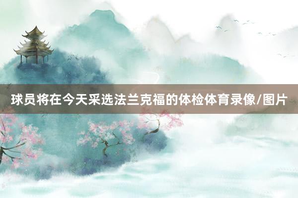 球员将在今天采选法兰克福的体检体育录像/图片