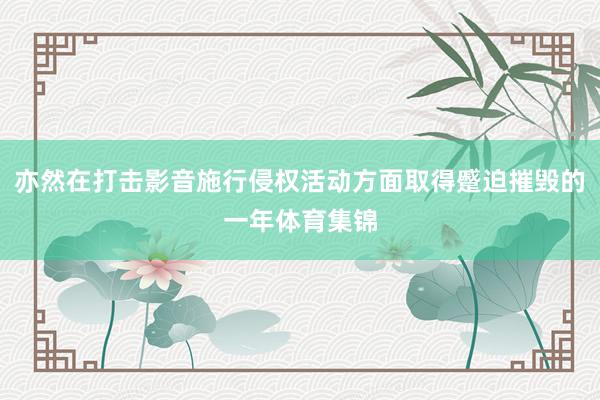 亦然在打击影音施行侵权活动方面取得蹙迫摧毁的一年体育集锦