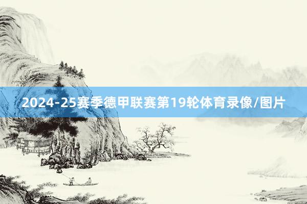 2024-25赛季德甲联赛第19轮体育录像/图片