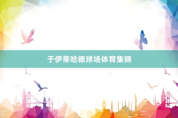 于伊蒂哈德球场体育集锦