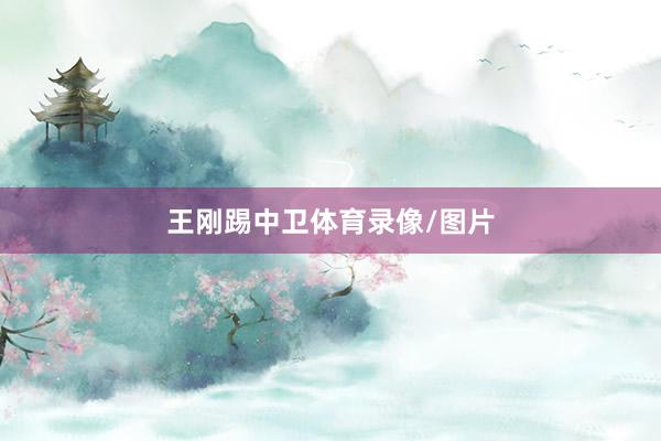 王刚踢中卫体育录像/图片