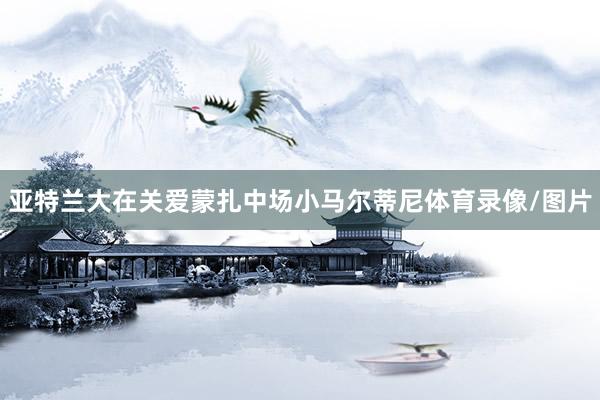 亚特兰大在关爱蒙扎中场小马尔蒂尼体育录像/图片