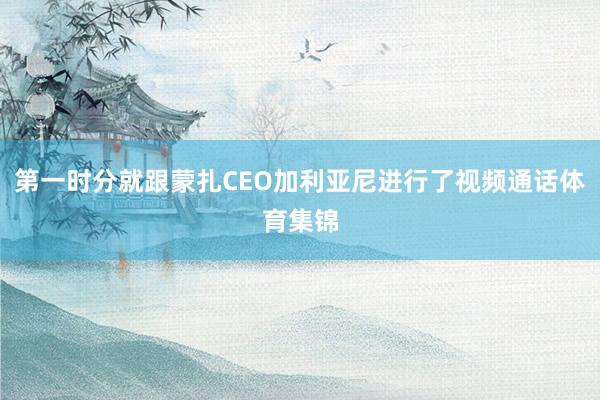 第一时分就跟蒙扎CEO加利亚尼进行了视频通话体育集锦