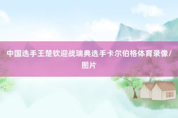 中国选手王楚钦迎战瑞典选手卡尔伯格体育录像/图片