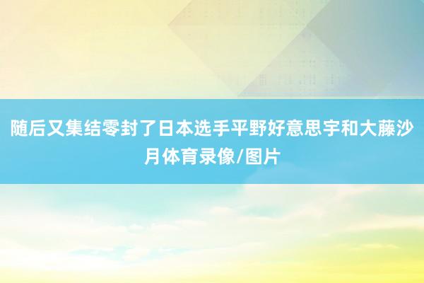 随后又集结零封了日本选手平野好意思宇和大藤沙月体育录像/图片