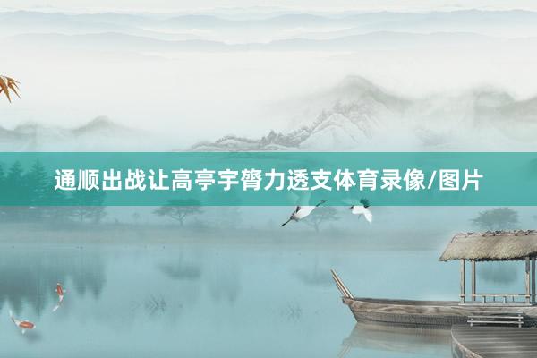 通顺出战让高亭宇膂力透支体育录像/图片