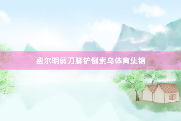 费尔明剪刀脚铲倒索乌体育集锦