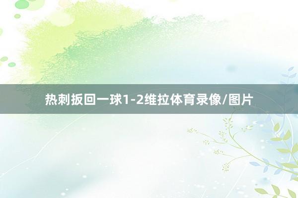 热刺扳回一球1-2维拉体育录像/图片