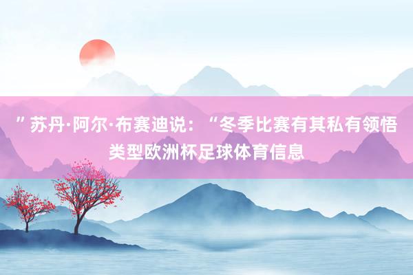 ”苏丹·阿尔·布赛迪说：“冬季比赛有其私有领悟类型欧洲杯足球体育信息