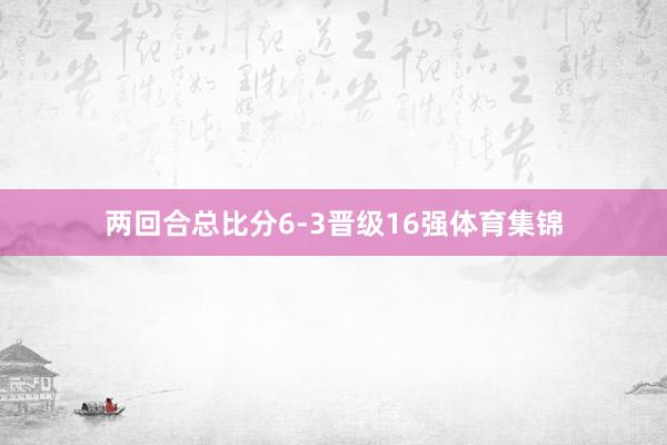 两回合总比分6-3晋级16强体育集锦