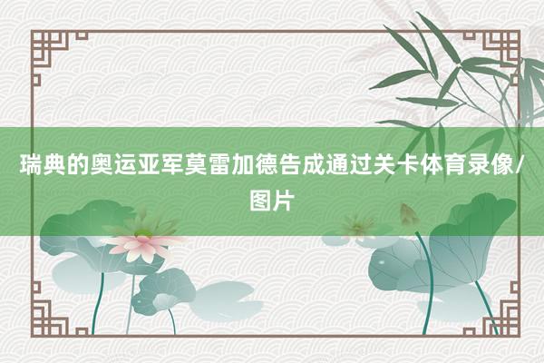 瑞典的奥运亚军莫雷加德告成通过关卡体育录像/图片