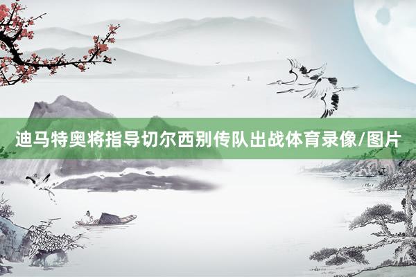 迪马特奥将指导切尔西别传队出战体育录像/图片