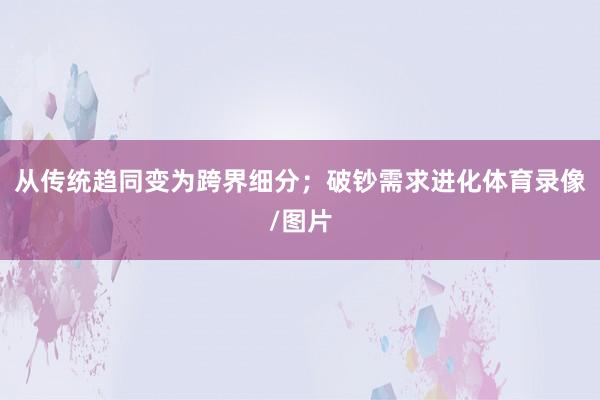 从传统趋同变为跨界细分；破钞需求进化体育录像/图片