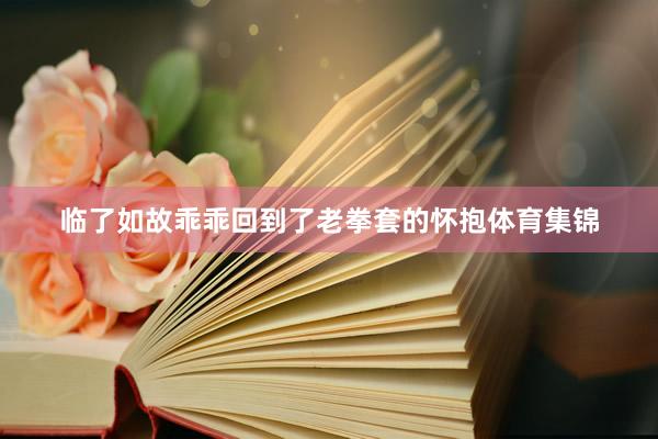 临了如故乖乖回到了老拳套的怀抱体育集锦