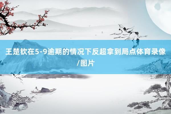王楚钦在5-9逾期的情况下反超拿到局点体育录像/图片