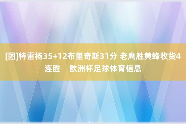 [图]特雷杨35+12布里奇斯31分 老鹰胜黄蜂收货4连胜    欧洲杯足球体育信息