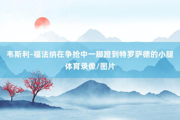 韦斯利-福法纳在争抢中一脚蹬到特罗萨德的小腿体育录像/图片