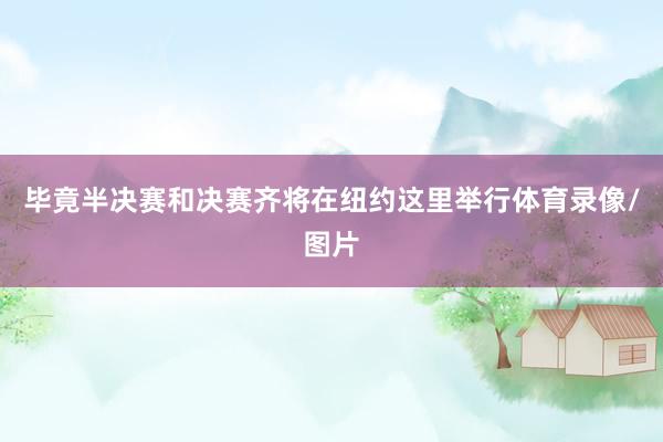 毕竟半决赛和决赛齐将在纽约这里举行体育录像/图片