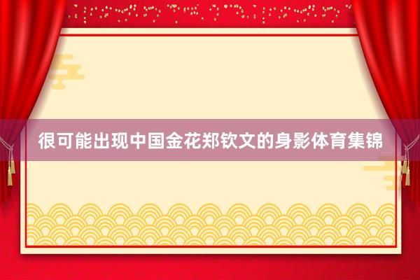 很可能出现中国金花郑钦文的身影体育集锦