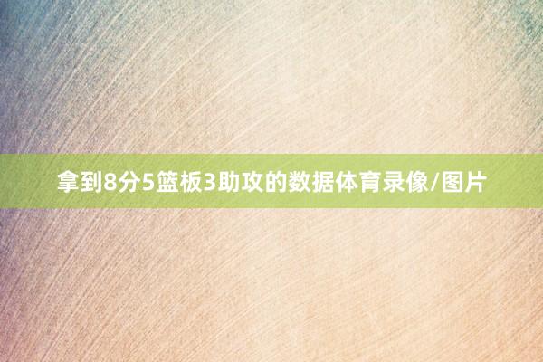 拿到8分5篮板3助攻的数据体育录像/图片
