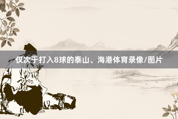 仅次于打入8球的泰山、海港体育录像/图片