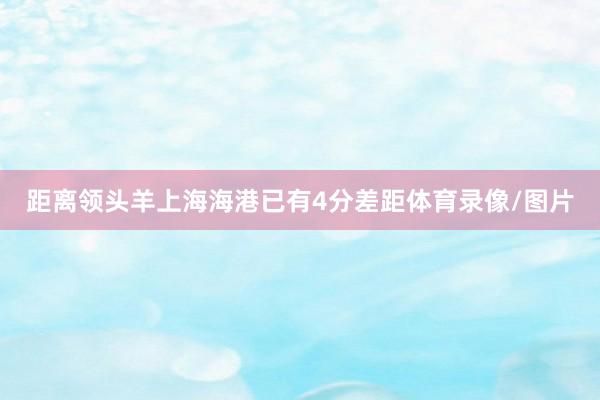 距离领头羊上海海港已有4分差距体育录像/图片