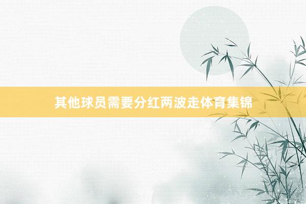其他球员需要分红两波走体育集锦