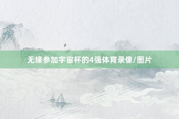 无缘参加宇宙杯的4强体育录像/图片