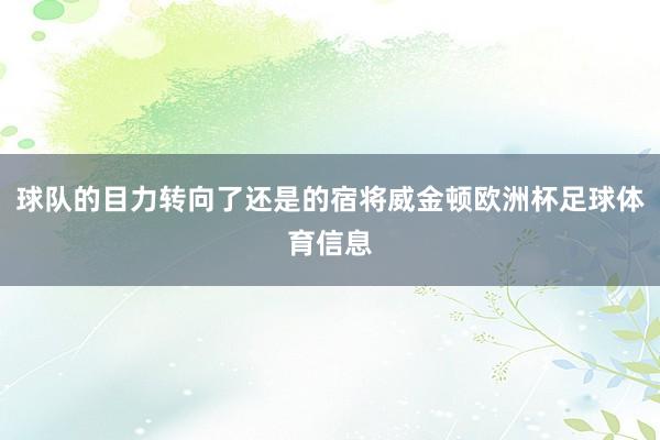 球队的目力转向了还是的宿将威金顿欧洲杯足球体育信息