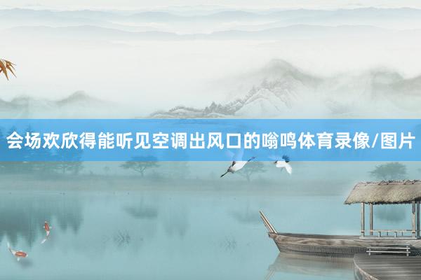 会场欢欣得能听见空调出风口的嗡鸣体育录像/图片