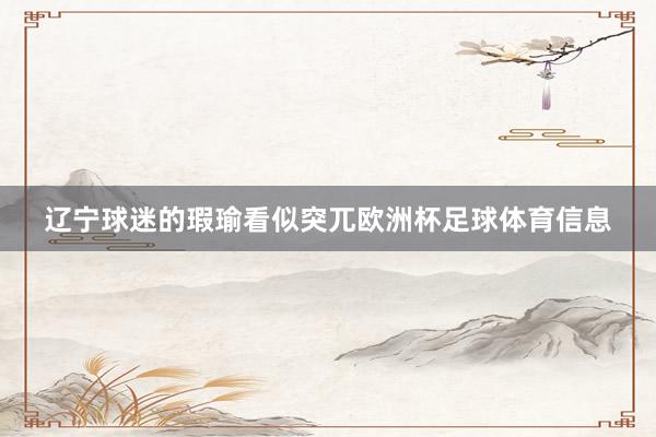 辽宁球迷的瑕瑜看似突兀欧洲杯足球体育信息