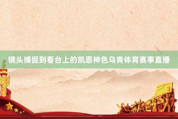 镜头捕捉到看台上的凯恩神色乌青体育赛事直播
