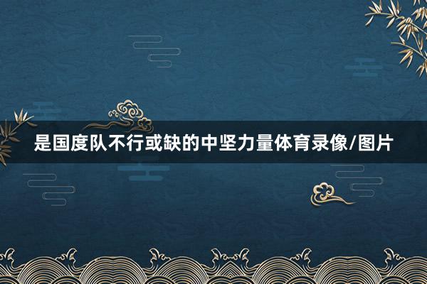 是国度队不行或缺的中坚力量体育录像/图片