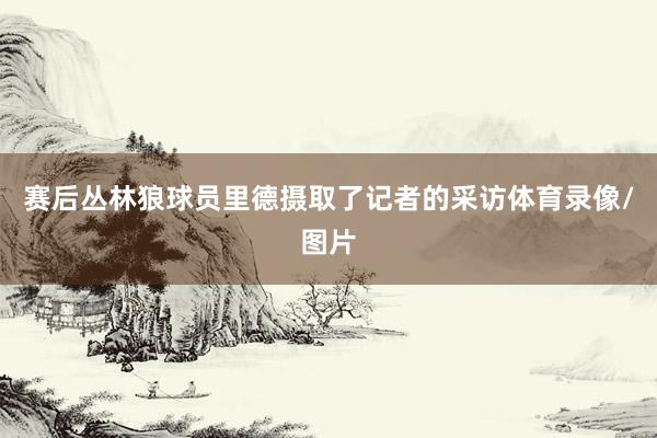 赛后丛林狼球员里德摄取了记者的采访体育录像/图片