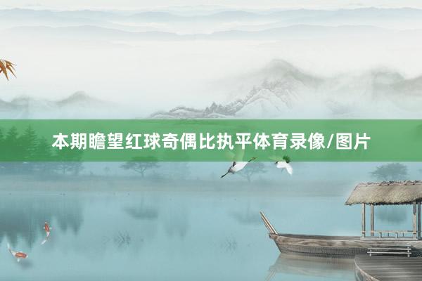 本期瞻望红球奇偶比执平体育录像/图片
