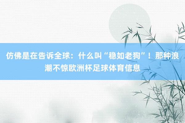 仿佛是在告诉全球：什么叫“稳如老狗”！那种浪潮不惊欧洲杯足球体育信息