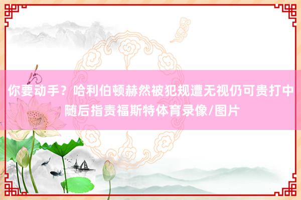 你要动手？哈利伯顿赫然被犯规遭无视仍可贵打中 随后指责福斯特体育录像/图片
